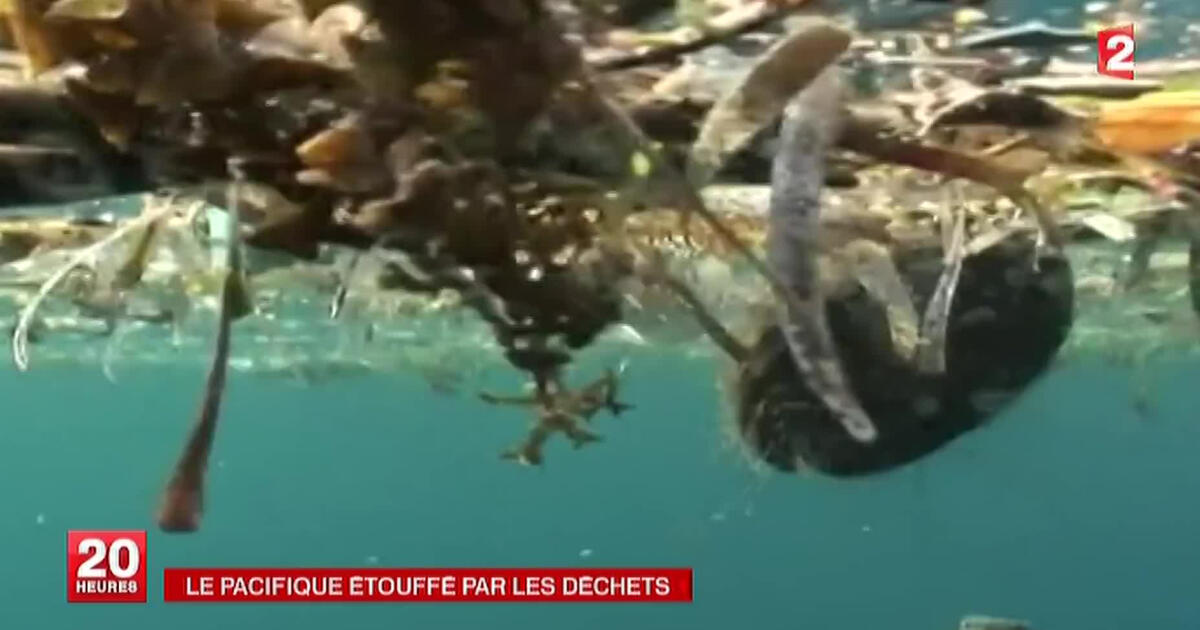 Déchets plastiques dans le Pacifique : un 7e continent ? | Lumni ...