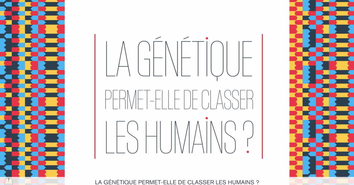 La génétique permet-elle de classer les êtres humains ? | Lumni ...