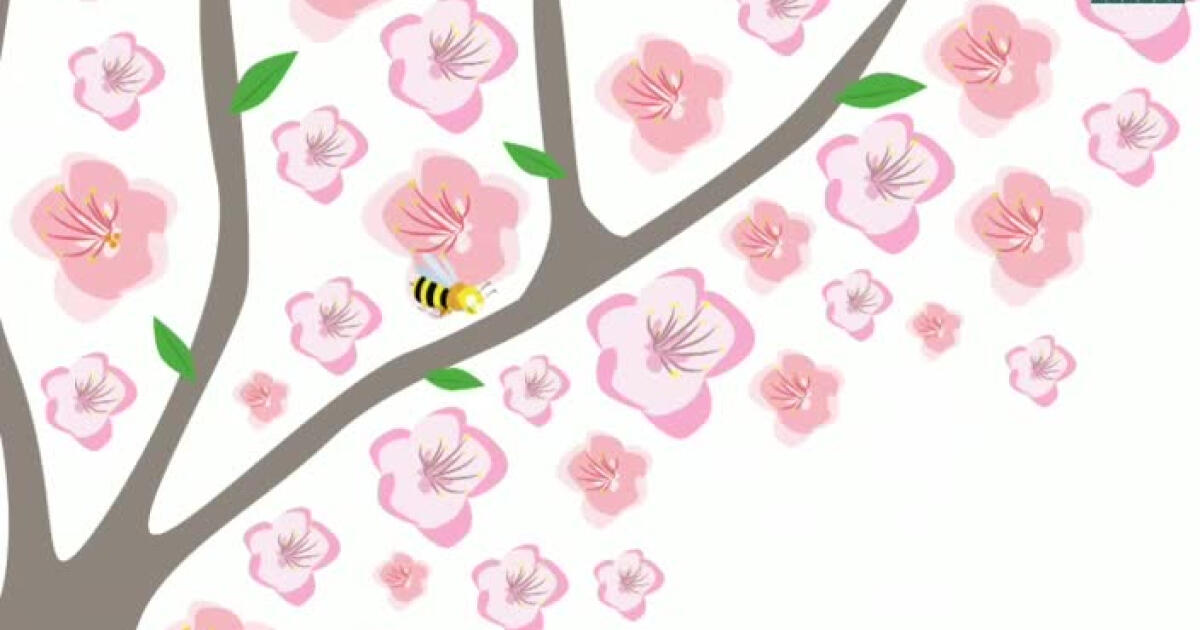 Le développement des végétaux, de la fleur au fruit, du fruit à la — free download