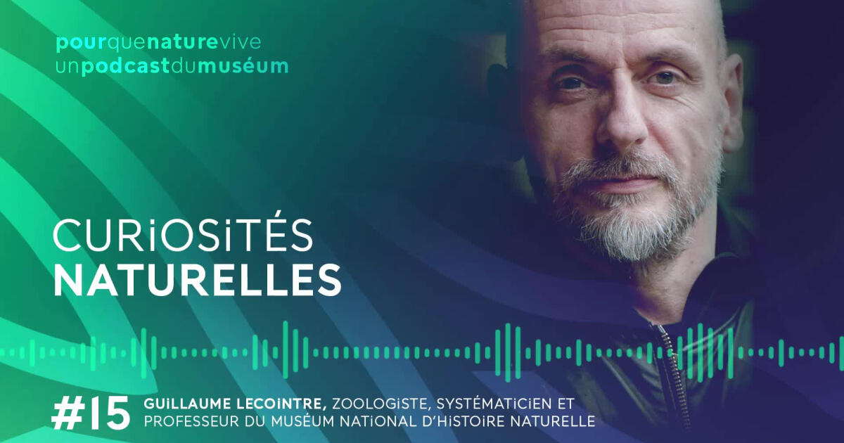Lumni Curiosités naturelles | Lumni Enseignement